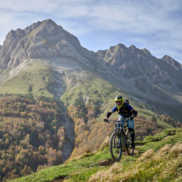 Bici de Montaña