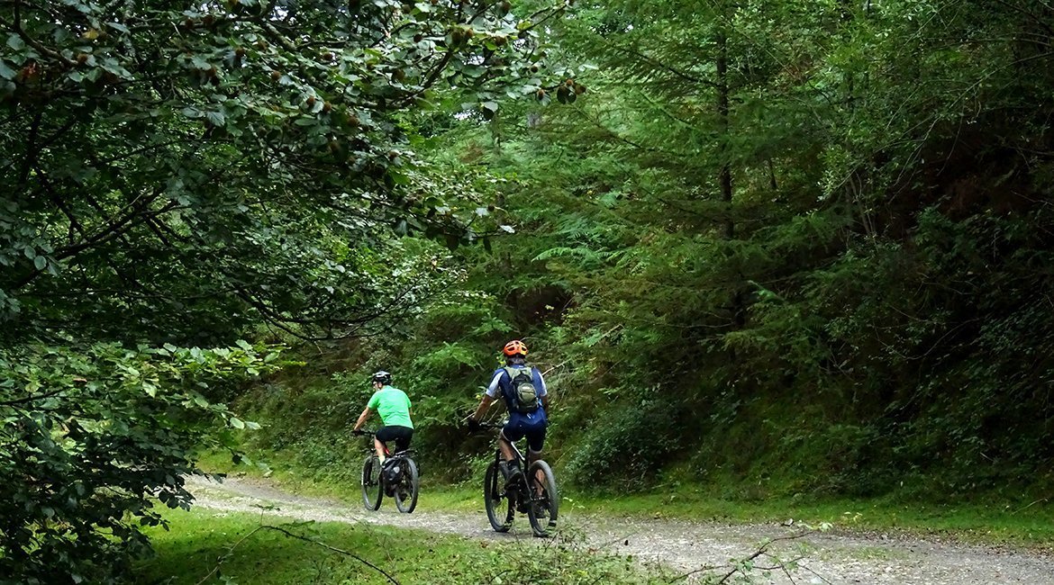 Camino de Santiago